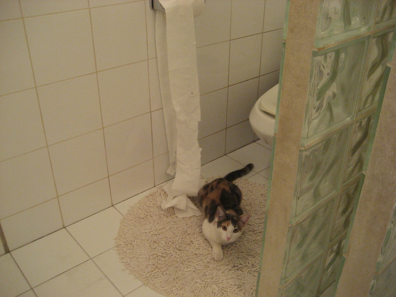 世界杯最终决战：战术与个人技艺的巅峰对决！，世界杯最后谁赢了